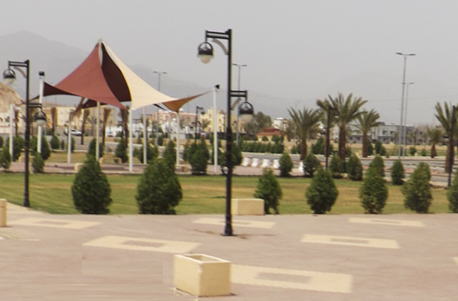 تنظيم المواقع 