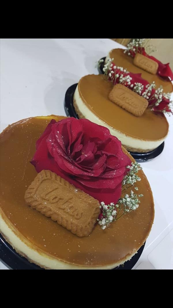 تشيز كيك 